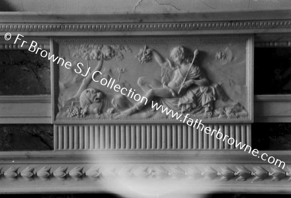 ABBEYLEIX HOUSE  ENTRANCE HALL DETAIL OF FIRE PLACE